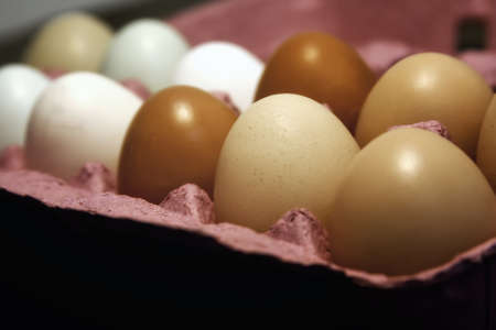 Farm Fresh Eggs in a Pink Cartonの写真素材