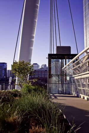 Denver Skyline and Top of the Millennium Bridgeの写真素材