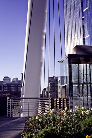 Denver Skyline and Top of the Millennium Bridge with Flowersの写真素材