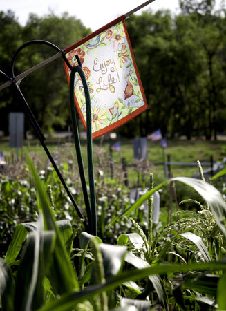 Enjoy Life sign hanging in a community garden