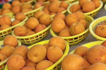 Yellow baskets of fresh apricots for sale on table at farmer s marketの写真素材