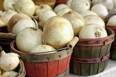 Red and green bushel baskets of fresh white onions on white table for sale at farmer s marketの写真素材