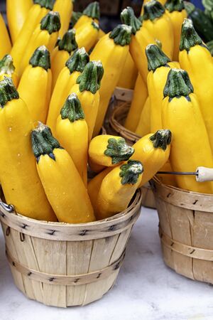 Bushel baskets of fresh yellow squash on white table for sale at farmer s marketの写真素材