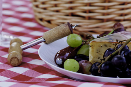 Close up of grapes and cheese on white plate at picnic