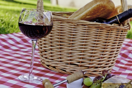 Picnic in the park with wine, cheese and grapesの写真素材