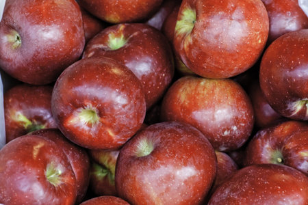 Bin of red apples for sale at local farmers marketの写真素材