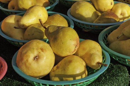Sun lit yellow pears in green baskets at farmers market