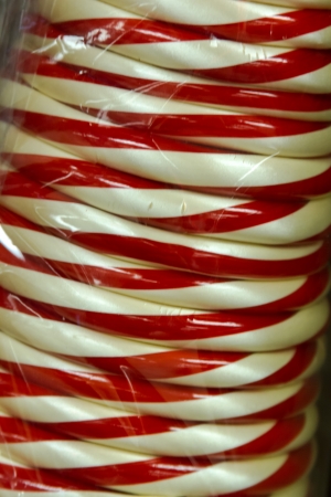Swirled red and white candy cane Christmas treeの写真素材