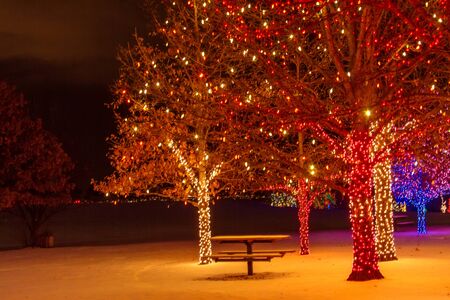 2012 Denver Botanical Gardens Trail of Lights Christmas light display at Chatfieldのeditorial素材