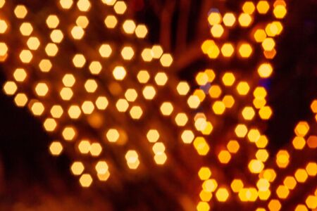 2012 Denver Botanical Gardens Trail of Lights Christmas light display at Chatfieldのeditorial素材