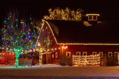 2012 Denver Botanical Gardens Trail of Lights Christmas light display at Chatfieldのeditorial素材