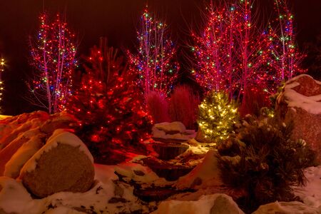 2012 Denver Botanical Gardens Trail of Lights Christmas light display at Chatfieldのeditorial素材