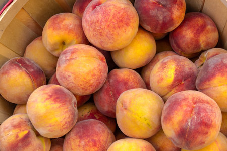 Close up of large bushel basket full of locally grown peaches at local farmers marketの写真素材