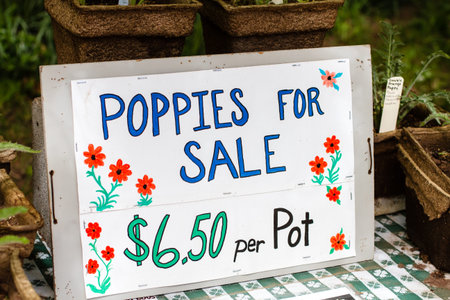 Poppies for sale sign in garden