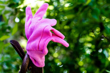 Close up of bright pink gardening glove sitting on fenceの写真素材