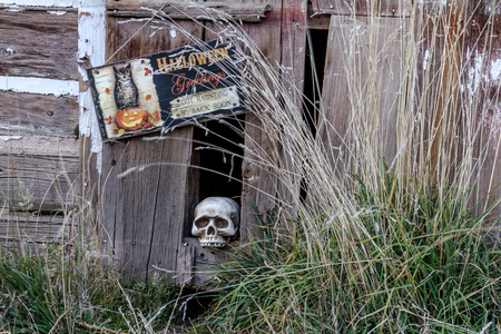 Creepy Halloween skull in hole in old abandoned wood buildingの写真素材