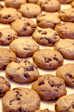 Rows of chocolate chip cookies with cooling on wax paper on table top