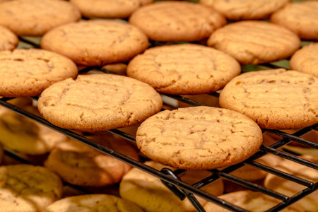 Rows of peanut butter cookies cooling on wire baking rack sitting on counter top