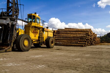 RAINIER WASHINGTON/U.S.A. - April 6, 2015: Large machinery used to carry and load processed trees in log yard, ready for transport on April 6, 2015 Rainier Washingtonのeditorial素材