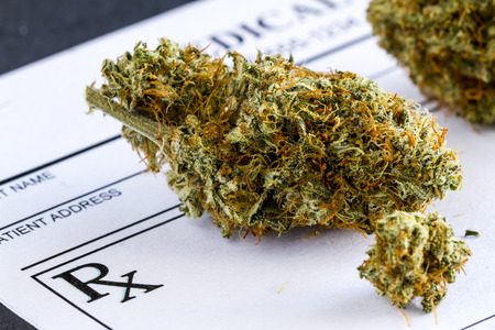 Close up of medical marijuana buds sitting medical prescription pad on black backgroundの写真素材