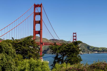 Golden Gate Bridge from park overlook surrounded by treesのeditorial素材