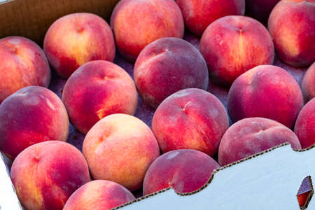 Large box filled with rows of fresh picked yellow peaches for sale at farmers marketの写真素材