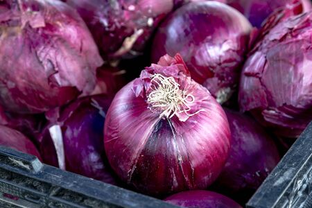 Display of red onions sitting in plastic crate at local farmers marketの写真素材