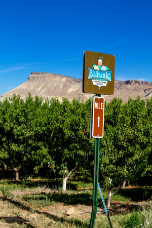 Colorado Fruit and Wine Scenic Byway sign in front of orchard with Mount Garfield in distance