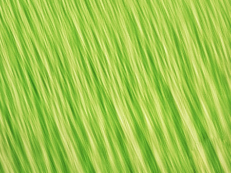 Bright chartreuse green blurred diagonal lines abstract background artwork for creative graphic...