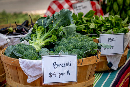 Baskets of fresh broccoli and basil on table display at local outdoor farmers market on summer morningの写真素材