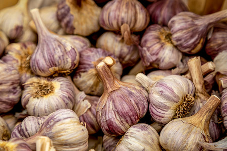 Close up of bin of fresh garlic bulbs for sale at local outdoor farmers market on summer morningの写真素材
