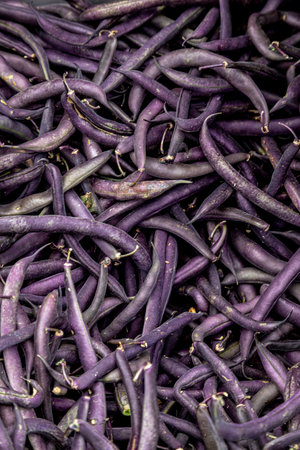 Bin filled with purple green beans for sale at local farmers marketの写真素材