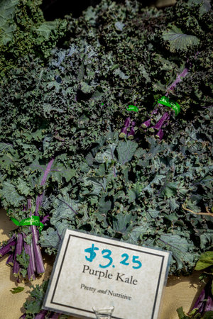 Bundles of purple kale vegetables on table for sale on local outdoor farmers market with small pricing signの写真素材