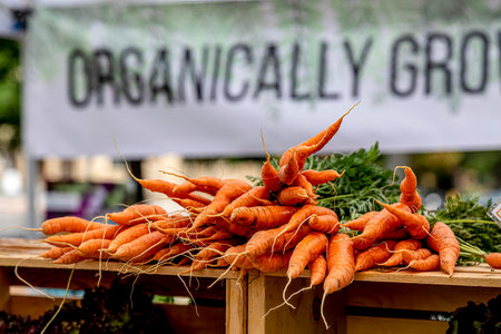 Close up of bunches of orange carrots sitting on wooden boxes for sale in front of organically grown sign at local outdoor farmers marketの写真素材
