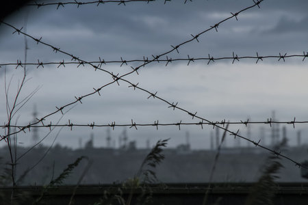 guard wall . some gray sky in backyardの写真素材