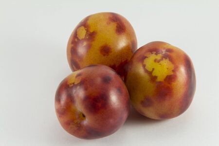 Three plums on a white background yellow-redの写真素材