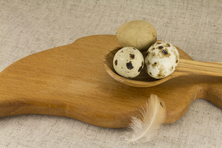 Abstract view of quail eggs in a wooden spoon on a background of natural fabricsの写真素材