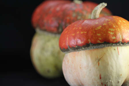 Pumpkin on a black background made of natural fabricsの写真素材