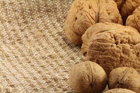 Giant and small walnut in shell on the background of natural burlapの写真素材