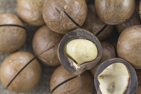 Macadamia nuts in shell and without it on a gray backgroundの写真素材
