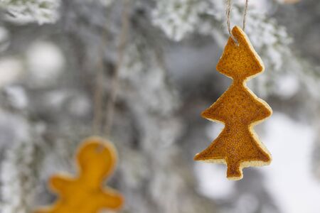Christmas ornaments on a branch of fir frostedの写真素材