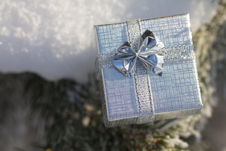 Christmas decoration box (silver) on a snowy Christmas treeの写真素材