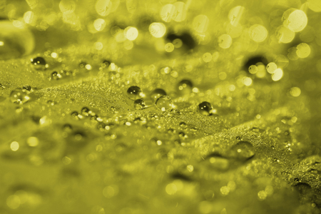 Morning dew on a close-up sheet. Macro. Toning in pantone color golden lime.の写真素材