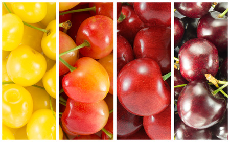 Collage from different varieties of sweet cherry (colorful). rectangle.の写真素材