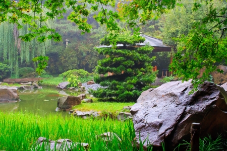 Foggy day in Chinese park. Chongqing city, China.のeditorial素材