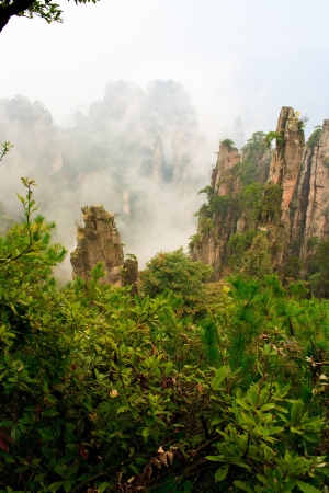 Mysterious Mountains Zhangjiajie. The province of Hunan. China の写真素材