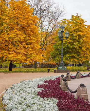 Parks of St. Petersburg. Golden autumn. Russia.の写真素材