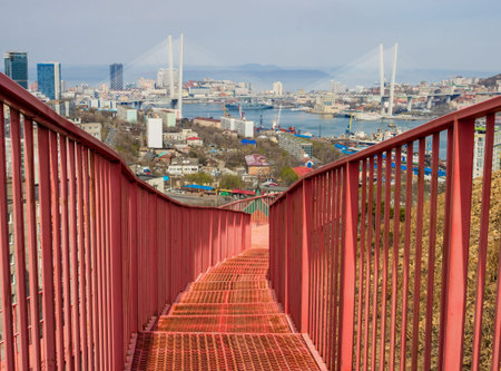 Top view of Vladivostok. Golden Horn Bay.