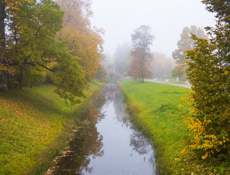 Foggy morning in the park of St. Petersburg.の写真素材