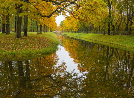 Autumn day in the park. Golden autumn. Trees and lake.の写真素材